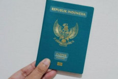 Ketahui Aturan Penulisan Nama di Paspor dan Proses Perubahannya