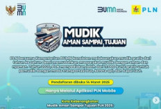 Mudik Gratis PLN 2025 Dibuka! Simak Syarat dan Jadwal Keberangkatan