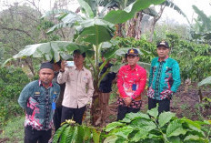 HUT Lambar ke-34, Kelurahan Pajarbulan Siapkan  Lahan Program Konservasi