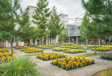 GREEN TALAO PARK, Simbol Kebangkitan  Ekowisata Nagari Ulakan