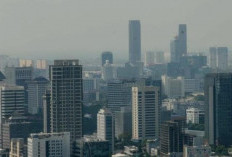 Bank Dunia Ungkap Tantangan Serius dalam Penerimaan Pajak Indonesia