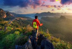 7 Kota Industri Terbesar di Indonesia, Ini Daftarnya