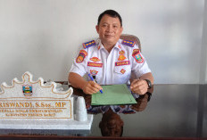 Tunggu Kepastian Pemprov,  Pemkab Pesisir Barat Harap Pembangunan Terminal Tipe B