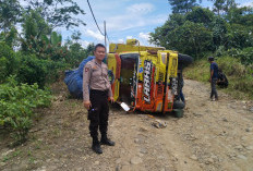 Truk Bermuatan Pisang Terguling di Jalan Lintas Suoh