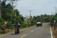 Tanam Tumbuh Pinggiran Ruas Jalinbar Dipangkas 