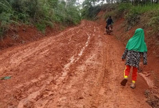 Masyarakat Sidodadi   ‘Kubur Mimpi’ Soal Jalan Aspal