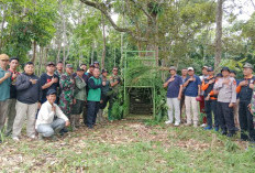 Kandang jebak Harimau dipasang, Pemkab Pesisir Barat Harapkan Hasil Positif