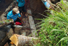 Pembangunan Ruas Jalan  Basungan-Batuapi Diapresiasi