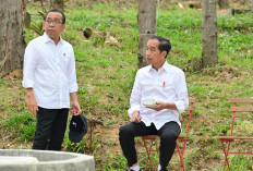 Pratikno Bertamu Saat Ulang Tahun ke-64 Jokowi, Momen Akrab Dua Sahabat Lama dari UGM