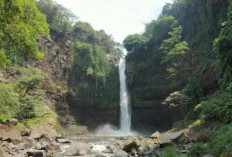 Air Terjun Coban Baung, Keindahan Alam di Pasuruan