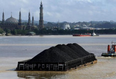 Harga Batu Bara Tembus Positif Meski   Dihadang Sentimen Negatif dari China