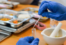 BGN Resmi Tutup Portal Mitra Dapur MBG 