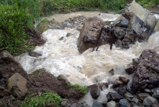 Irigasi Ambrol Dihantam Banjir, Puluhan Ha Sawah Di Atakh Kuripan Terancam Gagal Panen
