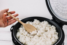 Bahaya Menyimpan Nasi Terlalu Lama di Rice Cooker