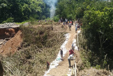 Gotong Royong Warga Buka Jalur  Darurat Jalan Amblas Seranggas