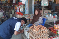 Di Pesisir Barat,  Harga Bawang  Relatif Stabil