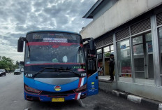 Damri Tambah 70 Bus  Listrik Impor Dari China