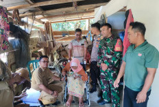 Mayoritas Lansia, BLT DD Wayngison Disalurkan Door to Door