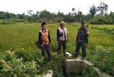 13 Irigasi Rusak di Kebuntebu Ditinjau BPP