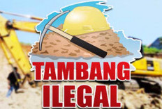 Diduga Melanggar Izin, 5 Tambang Ilegal Disegel