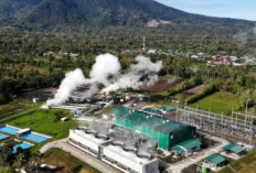 PGEO Genjot Proyek Panas Bumi, Dukung Target Energi Bersih Pemerintah