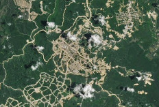 NASA Ungkap Perkembangan Pembangunan IKN Nusantara Lewat Gambar Satelit