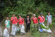 Tambah Koleksi Flora, Tim UPTD Kebun Raya Liwa Lakukan Eksplorasi di Kaki Gunung Pesagi 