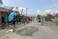 Memperlancar Lalu Lintas, Pemuda Pekon Pampangan Swadaya Timbun Jalan 