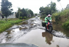 Ganggu Kelancaran Lalin, Rusaknya Jalan Provinsi Mendesak Untuk Diperbaiki 