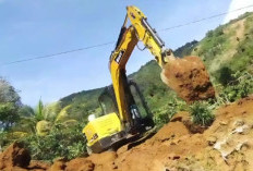 Klaim Masuk Wilayah Hutan Adat, Wakil Ketua I DPRD Lambar Bantah Garap HL Secara Ilegal