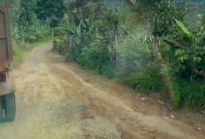 Kerusakan Jalur Temiangan Hill Terus Bertambah
