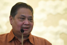 Shutdown Pemerintah AS,  Perundingan Dagang  Indonesia Tertunda