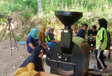 Sektor Usaha Produksi Kopi, Pekon Tawan Dorong Peningkatan UMKM 