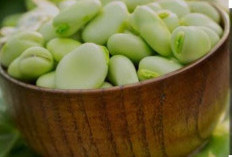 Kacang Roay: Kandungan Nutrisi dan Manfaat bagi Kesehatan