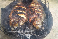 Ternyata, Rutin Konsumsi Ikan Bakar Kurang Baik Untuk Kesehatan