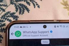 Tiga Cara Menghentikan Chat WhatsApp Tanpa Harus Memblokir Kontak