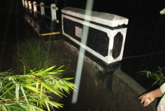Jembatan di BNS Lampung Barat Tergerus Banjir, Pondasi Menggantung dan Terancam Amblas
