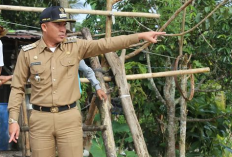 Koperasi Jalan, UMKM Bangkit, Ekonomi Rakyat Naik Kelas