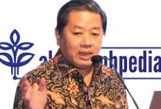 Apindo Ingatkan Pemerintah: Jangan Tergesa Longgarkan Aturan TKDN