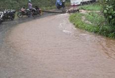 Satu Tiang Listrik Roboh, Lalu Lintas Liwa - Ranau Sempat Lumpuh