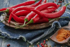 Makan Pedas dan Hubungannya dengan Penyakit Usus Buntu: Mitos atau Fakta?