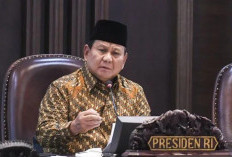  Presiden Prabowo Larang Instansi Rekrut Honorer Lagi, Ancam Sanksi