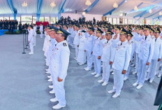 Informasi Gaji dan Tunjangan Kepala serta Wakil Kepala Daerah untuk Periode 2025-2030