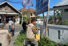Kecamatan Way krui Bersih Dari APK Peserta Pemilu