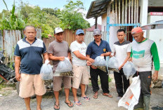 Program Ketahanan Pangan,  Padangdalom Bagikan Ribuan Benih Ikan 