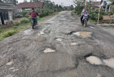Rusak Parah, Warga Berharap Jalan di Pampangan Diperbaiki 