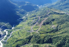 Jejak Terputus Michael Rockefeller: Anak Orang Terkaya Dunia Hilang di Rimba Papua