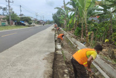 BPJN Normalisasi Drainase-Pemangkasan Tanaman Liar 