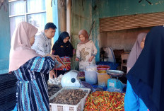 Harga Cabai Masih Pedas,  Capai Rp50.000 Perkilogram