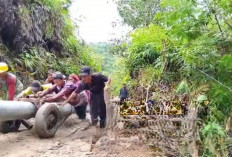 PLN Mulai Distribusikan Tiang di Tiga Pemangku Bandarbaru 